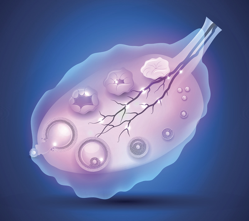 2026试管一代二代三代的全部费用多少